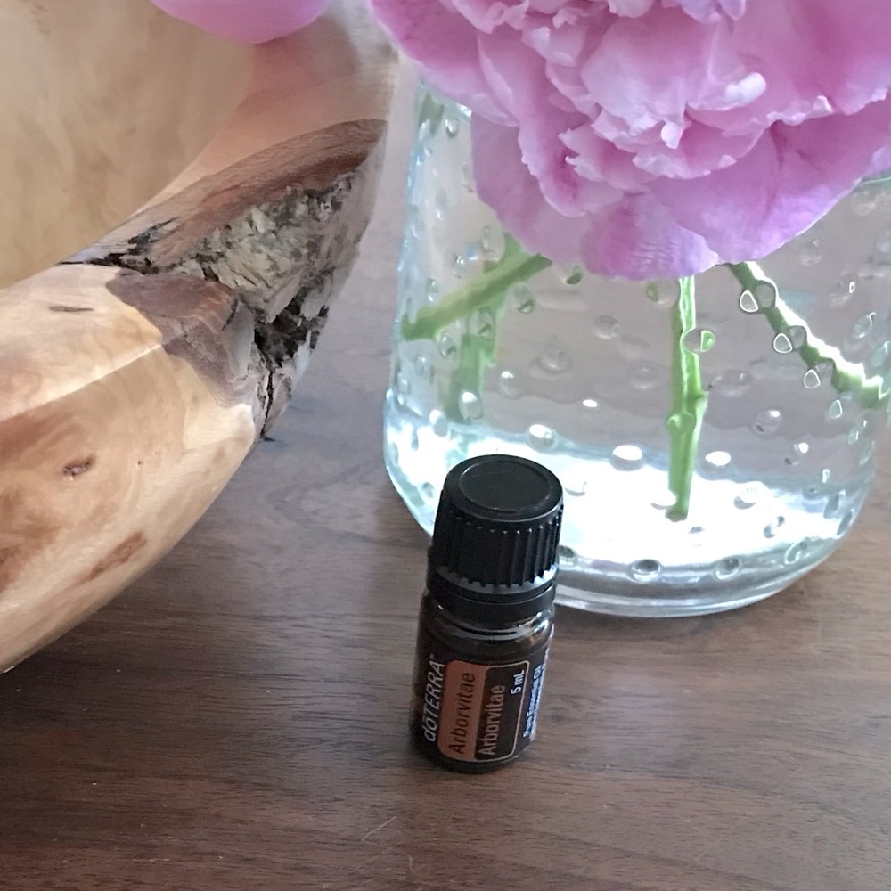 New DoTERRA Arborvitae - 5 ml Essential Oil